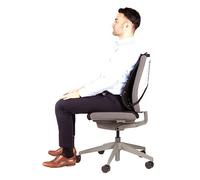 Fellowes Respaldo ergonómico - Cojín Lumbar para Cualquier Silla. Mejora la Postura, Alivia el Dolor de Espalda y Reduce la Fatiga