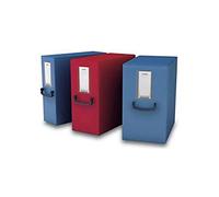 Fellowes Pick Up - Organizador de almacenaje (120 x 250 x 350 mm, Rojo)