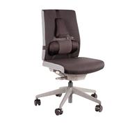 Fellowes Professional Series - Cojín lumbar ergonómico, Proporciona Apoyo Lumbar para la Espalda, Protección antibacteriana, color negro