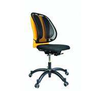 Fellowes 8029901 soporte lumbar para respaldos Grafito