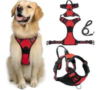 Fellstern Arnés Antitirones con Cuerda De Tracción, Reflektierendes Hundegeschirr Für Hunde Ohne Choke, Kontrolle Ohne Ziehen - Für Hunde Jeder Größe, Für Entspanntes(Red,M)