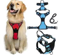 Fellstern Arnés Antitirones con Cuerda De Tracción, Reflektierendes Hundegeschirr Für Hunde Ohne Choke, Kontrolle Ohne Ziehen - Für Hunde Jeder Größe, Für Entspanntes(Blue,XL)