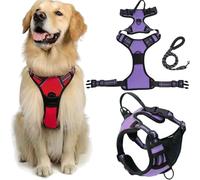 Fellstern Arnés Antitirones con Cuerda De Tracción, Reflektierendes Hundegeschirr Für Hunde Ohne Choke, Kontrolle Ohne Ziehen - Für Hunde Jeder Größe, Für Entspanntes(Purple,S)
