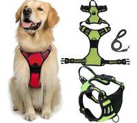 Fellstern Arnés Antitirones con Cuerda De Tracción, Reflektierendes Hundegeschirr Für Hunde Ohne Choke, Kontrolle Ohne Ziehen - Für Hunde Jeder Größe, Für Entspanntes(Green,L)