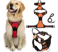 Fellstern Arnés Antitirones con Cuerda De Tracción, Reflektierendes Hundegeschirr Für Hunde Ohne Choke, Kontrolle Ohne Ziehen - Für Hunde Jeder Größe, Für Entspanntes(Orange,XL)