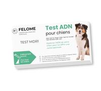Felome - Prueba de ADN MDR1 para perros - Prueba de sensibilidad medicamentosa para su perro - Resultados en 2 semanas - Prueba de salud de cachorros y perros