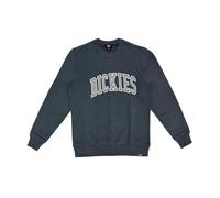 DICKIES Sudadera 'AITKIN' azul / blanco, Talla XL