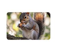 Felpudo antideslizante de bienvenida, lavable, para puerta principal, ardilla que come nueces, alfombra de cocina para entrada, felpudo absorbente para interiores y exteriores, para dormitorio, cocina