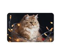 Felpudo antideslizante para puerta delantera, 80 x 48 cm, tapete de entrada al aire libre, tapete de interior para entrada, un gato y luces de Navidad, felpudo absorbente, tapete de bienvenida