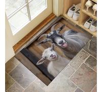 Felpudo con Fotografía De Animales, Alfombra para Entrada Delantera y Trasera, con Base Antideslizante de TPR, Cabras Y Corderos, Apta para Interior y Exterior, Patio,Blanco Grisáceo 60 x 90 cm