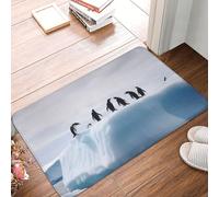 Felpudo de 60 x 40 cm antideslizante para puerta de entrada, lavable a máquina, diseño de pingüinos en el iceberg, tapete de entrada para interiores y exteriores, para garaje, patio, porche, casa de