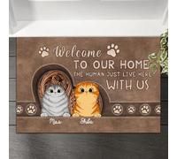 Felpudo De Bienvenida Antideslizante Tapete para Puerta Fácil De Limpiar Alfombra De Baño para Jardín Interior Cocina 40X60Cm Bienvenidos A Nuestro Hogar, Gatos