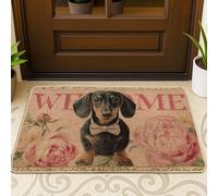 Felpudo de bienvenida para perro, color negro y marrón, decoración de primavera, de goma impermeable, antideslizante, absorbe el polvo, fácil de limpiar, 73 x 43 cm