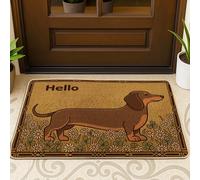 Felpudo de bienvenida para perro, diseño informal de flores de hierba, no marrón, goma antideslizante, decoración del hogar para entrada, porche al aire libre, balcón, 73 x 43 cm