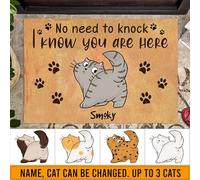 Felpudo De Entrada Antideslizante Alfombra Puerta Duradero Felpudo De Bienvenida para Pasillo Interior Jardín 40X60Cm No Hay Necesidad De Golpear A Los Gatos