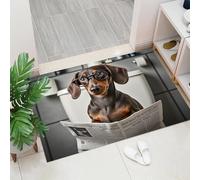 Felpudo De Perro Salchicha Gracioso - Felpudo Antideslizante De Animal Gracioso Y Humorístico, Felpudos Suave - Antipolvo para Puertas De Interior - Resistente para Dormitorio, Cocina, 80 x 120 cm