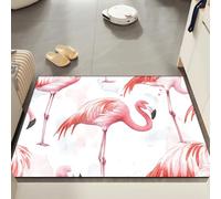 Felpudo Entrada Casa 50x80 cm Flamingo Rosa Felpudo Exterior Suave Lavable Antideslizante Felpudos Entrada Casa para Pasillo Cocina Mascotas Alfombras Puerta Entrada