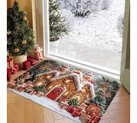 Felpudo Entrada Casa 60x80 cm Casa Navidad Naranja Felpudo Exterior Antideslizante Lavable Felpudos para Pasillo Cocina Puerta Jardín Decoración Alfombrilla para Entrada