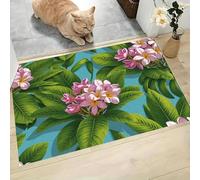 Felpudo Entrada Casa 60x90cm, Alfombra para Puerta Hojas Frangipani Monstera Antideslizante Lavable Alfombrilla Flores Hojas Tropicales Absorbentes Atrapapolvo para Entrada, Pasillo, Cocina, Verde