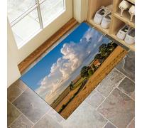 Felpudo Entrada Casa, 90X150Cm Alfombra Entrada Antideslizante Campos De Trigo Rurales Nórdicos, Alfombrilla Fino Paisaje Natural Retro Absorbentes Lavable Para Entrada, Pasillo, Cocina, Azul