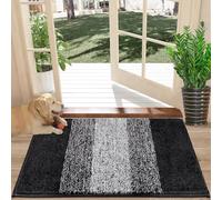 Felpudo Entrada Casa, Alfombra Atrapapolvo, Alfombra Antideslizante, Microfibra Absorbente y Suave Alfombra Entrada Casa, Tapete Entrada para Perros, Mascotas, Puertas y Pasillos, Negro, 40 x 60 cm