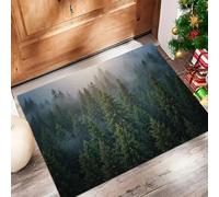 Felpudo Entrada Casa, Alfombra Entrada Casa Absorbente,Luz Sol Filtrándose A Través La Niebla Alfombra Exterior,Escena Bosque Naturalalfombrilla Antideslizante De La Casa,45 X 75 Cm,Verde Oscuro