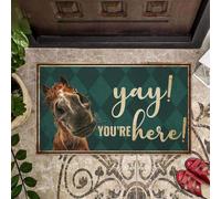 Felpudo Entrada casa ¡Bien, ya estás aquí! - Felpudo de Bienvenida fácil de Limpiar con diseño de Caballo