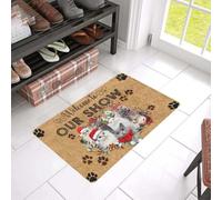 Felpudo Entrada casa Bienvenido a Nuestra Alfombra de Entrada de fácil Limpieza para Gatos de exposición