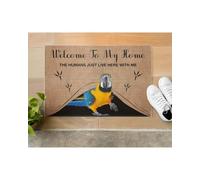 Felpudo Entrada casa Bienvenidos a mi casa. Aquí Solo vivimos los Humanos con un Loro. Felpudo para Interior y Exterior.