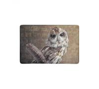 Felpudo Entrada casa Búho Sabio y Gracioso Sentado sobre Libros (Acuarela)