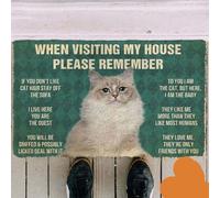 Felpudo Entrada casa Cuando visites mi casa, Recuerda Que Hay un Felpudo de Bienvenida para Gatos.
