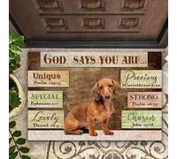 Felpudo Entrada casa Dios Perro Salchicha Dice Que Eres un Felpudo