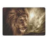 Felpudo Entrada casa Felpudo de Animales con león contra Cielo tormentoso
