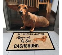Felpudo Entrada casa Felpudo de Bienvenida fácil de Limpiar con diseño de Perro Salchicha