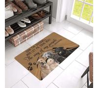 Felpudo Entrada casa Felpudo de Bienvenida fácil de Limpiar con la canción Canta la canción de mi Pueblo para Labrador Retriever