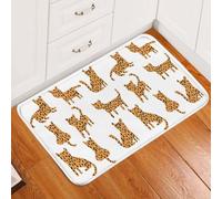 Felpudo Entrada casa Felpudo de Leonard con Dibujos Animados