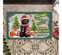 Felpudo Entrada casa Felpudo de Terranova: Este hogar está Lleno de Besos