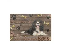 Felpudo Entrada casa Felpudo El Cavalier King es el Jefe, Regalo para Amantes de los Perros Cavalier King.