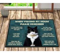 Felpudo Entrada casa Gato de Vuelta a ti, Soy el Gato, Pero aquí Soy el Felpudo bebé