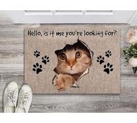 Felpudo Entrada casa Gato Hola ¿Soy yo a quien buscas? Felpudo para Interior y Exterior