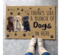 Felpudo Entrada casa Hay como un montón de Perros aquí. Felpudo para Interior y Exterior.