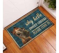 Felpudo Entrada casa Hola, cariño, Pasa, Felpudo de Caballo