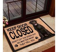 Felpudo Entrada casa Mantén la Puerta Cerrada. No Dejes Salir a los Perros, Pase lo Que Pase. (Frase en el Felpudo)