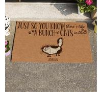 Felpudo Entrada casa para Que lo sepas, Hay un montón de Gatos ahí Dentro. Felpudo Estampado.