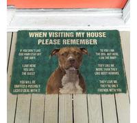 Felpudo Entrada casa para ti Soy el Perro, Pero aquí Soy el Felpudo del bebé.