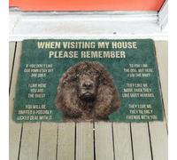 Felpudo Entrada casa por Favor, Recuerda Las Normas de la casa para Perros Irish Water Spaniel. Felpudo Divertido de Bienvenida.