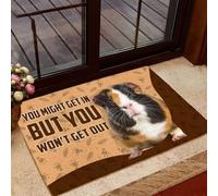 Felpudo Entrada casa Puede Que entres, Pero no saldrás (Felpudo).