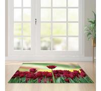 Felpudo Entrada Casa Retro Rojo Verde Felpudo Exterior Poliéster Alfombra Salon Lavable Alfombra Entrada Casa Suave Engrosar Alfombras de Habitacion Antideslizante Tapete 100x120cm
