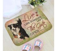 Felpudo Entrada casa Vive como si Alguien hubiera dejado la Puerta Abierta. Felpudo con Estampado de Perro de montaña bernés.