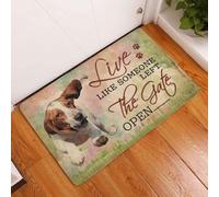 Felpudo Entrada casa Vive como si Alguien hubiera dejado la Puerta Abierta. Felpudo de Basset Hound.